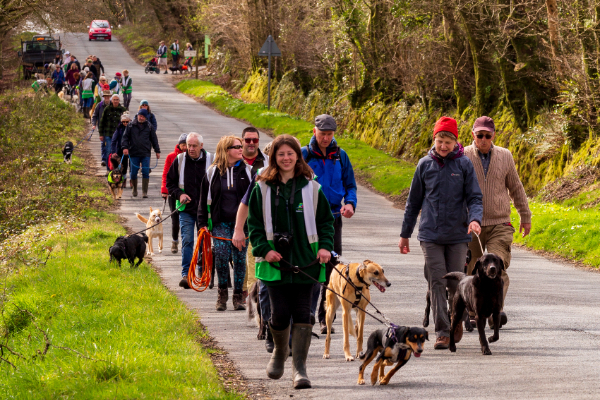 Sponsored Walk